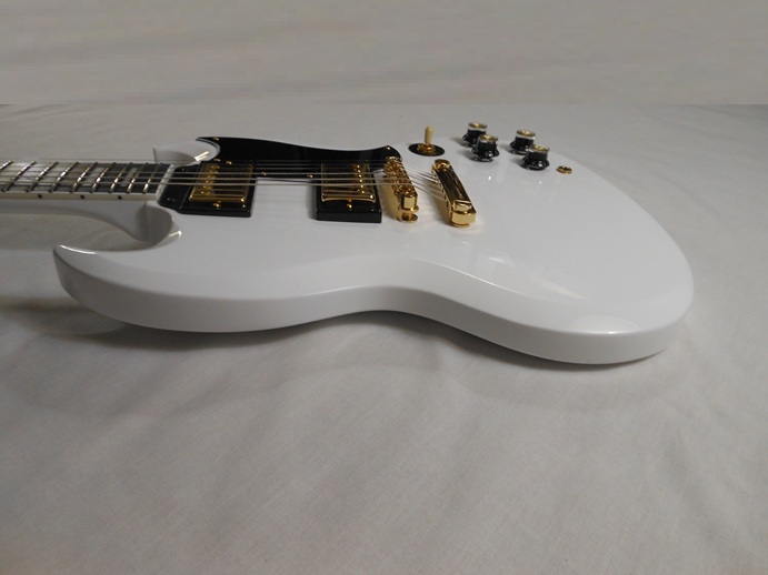 SG Custom Picture 12